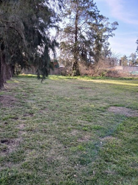 Terreno en venta Francisco Alvarez