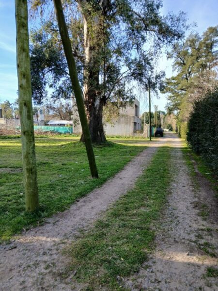 Terreno en venta Francisco Alvarez