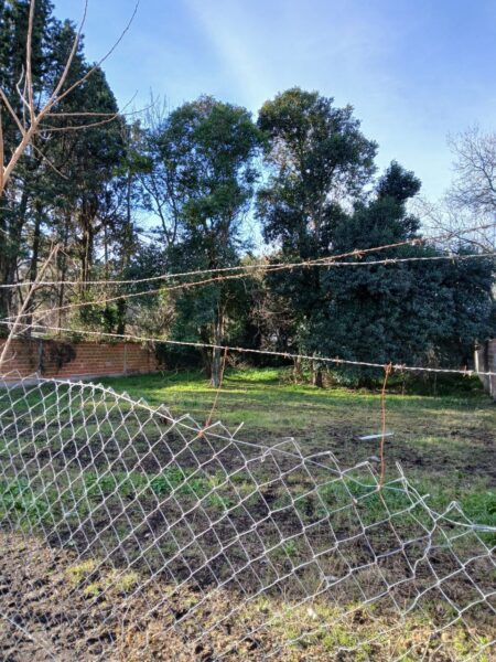 Terreno en venta Francisco Alvarez